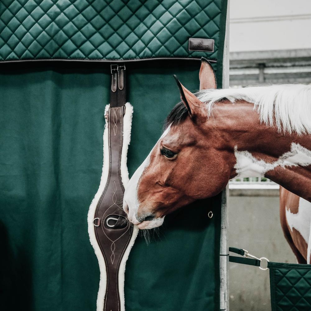 Stable Curtain Waterproof | Kentucky Horsewear | Waterproof — Image 11