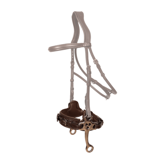 Hackamore NE | Dy'on | Durable