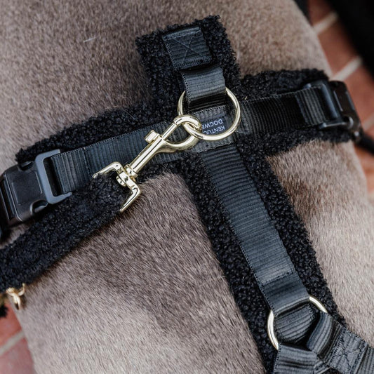 Dog Leash Teddy Fleece 120 cm | Kentucky Dogwear | Stylish — Image 2