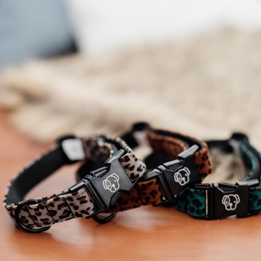 Dog Collar Leopard | Kentucky Dogwear | Fashionable — Image 2