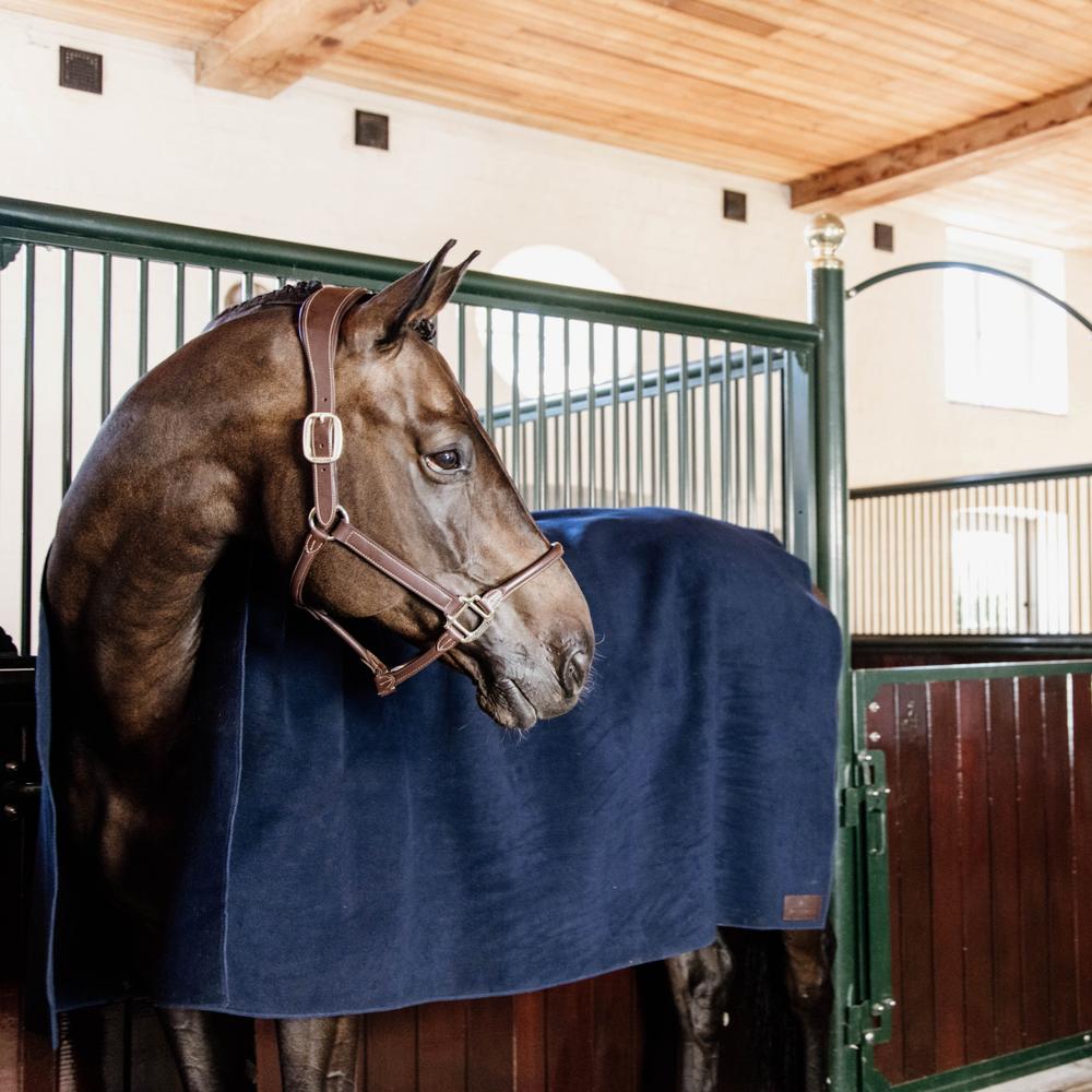 Heavy Fleece Rug Square | Kentucky Horsewear | Multi-purpose — Image 20
