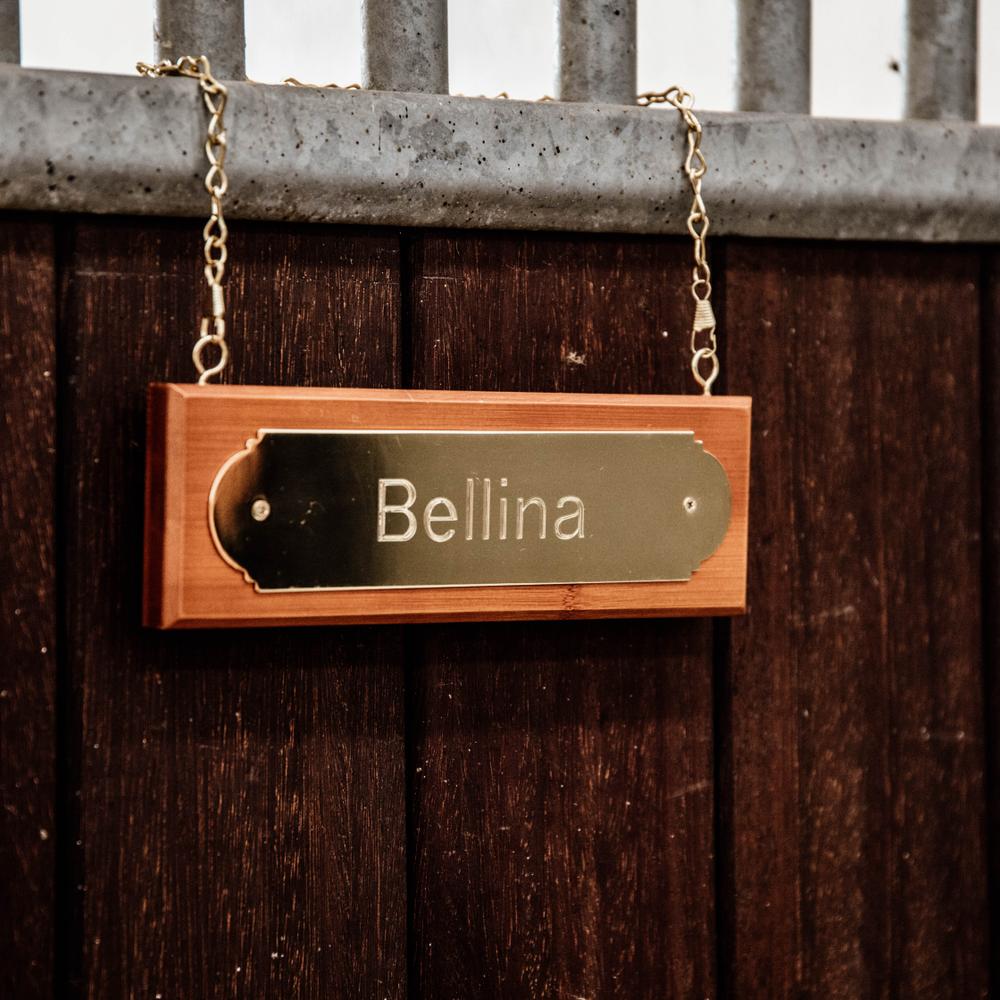 Stable Name Plate Hanger | Grooming Deluxe | — Image 4