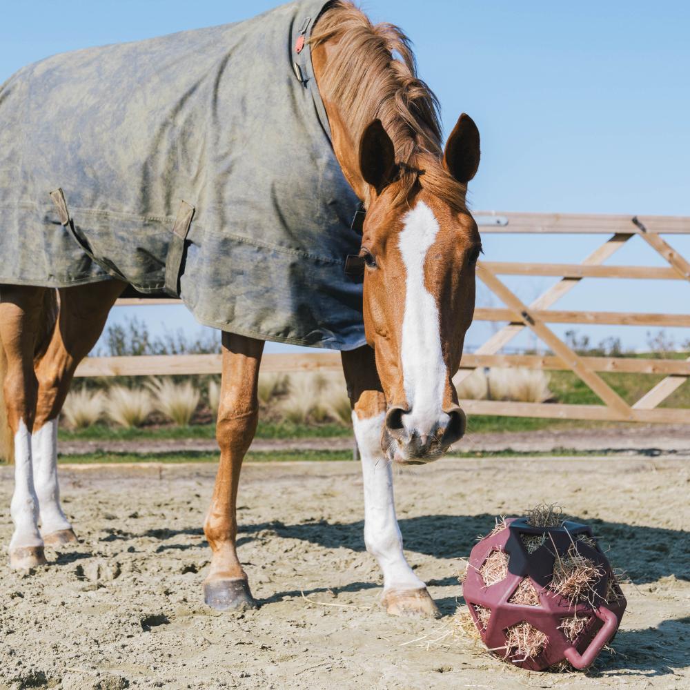 Relax Horse Play & Hay Ball | Kentucky Horsewear | Durable — Image 17