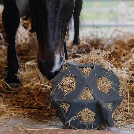 Relax Horse Play & Hay Ball | Kentucky Horsewear | Durable — Image 2
