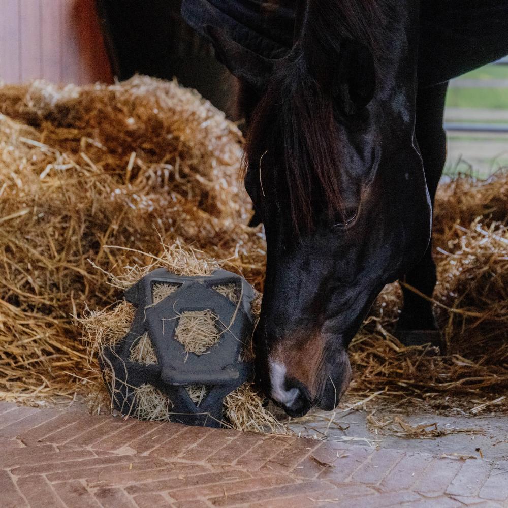 Relax Horse Play & Hay Ball | Kentucky Horsewear | Durable — Image 3