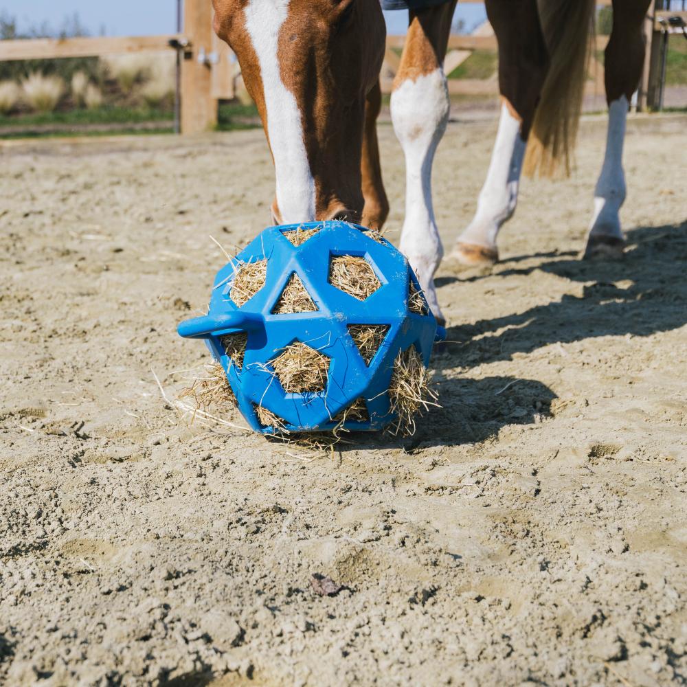 Relax Horse Play & Hay Ball | Kentucky Horsewear | Durable — Image 13
