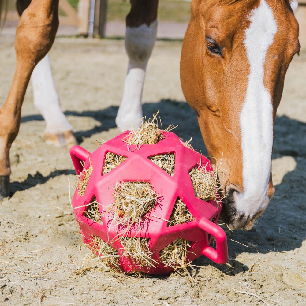 Relax Horse Play & Hay Ball | Kentucky Horsewear | Durable — Image 18