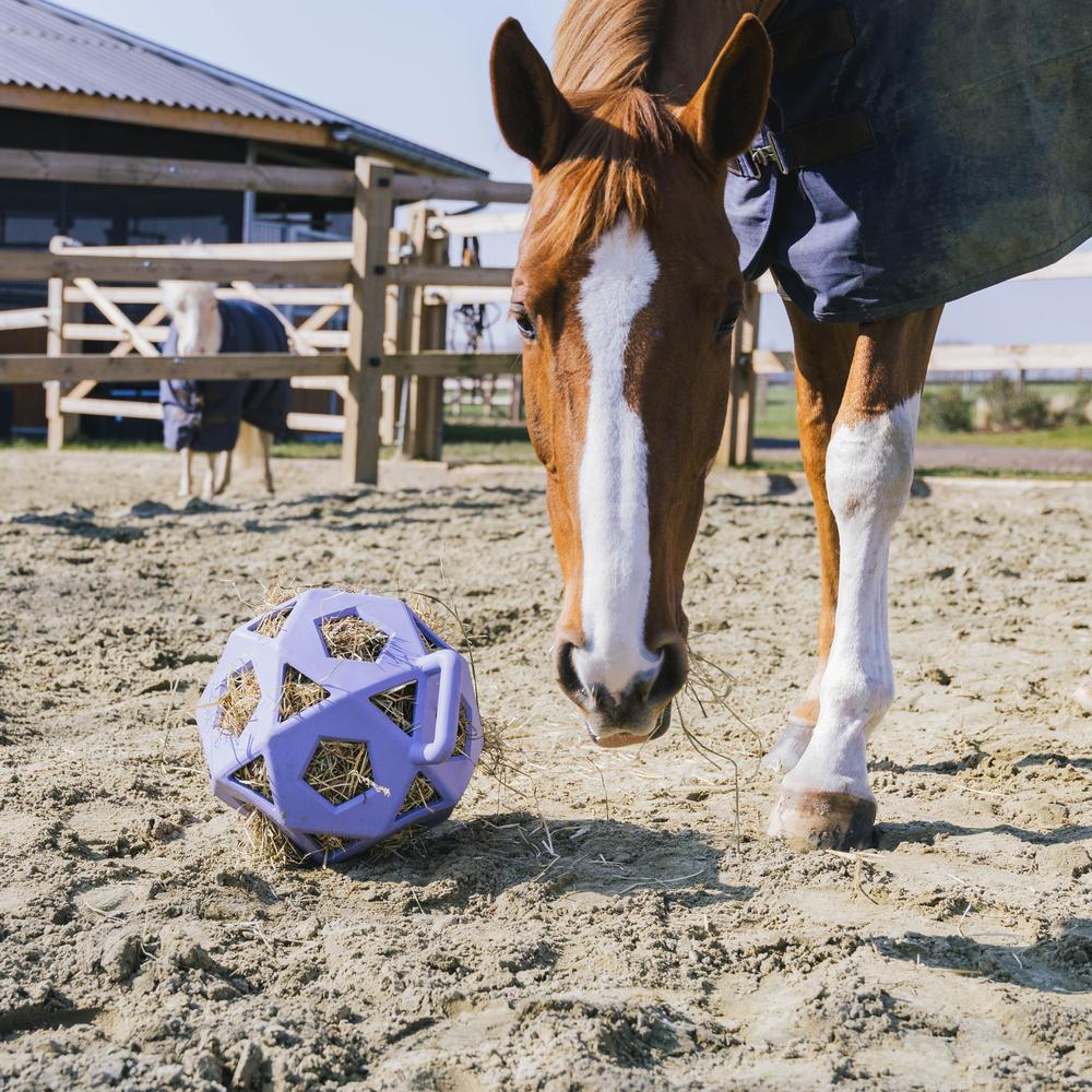 Relax Horse Play & Hay Ball | Kentucky Horsewear | Durable — Image 20