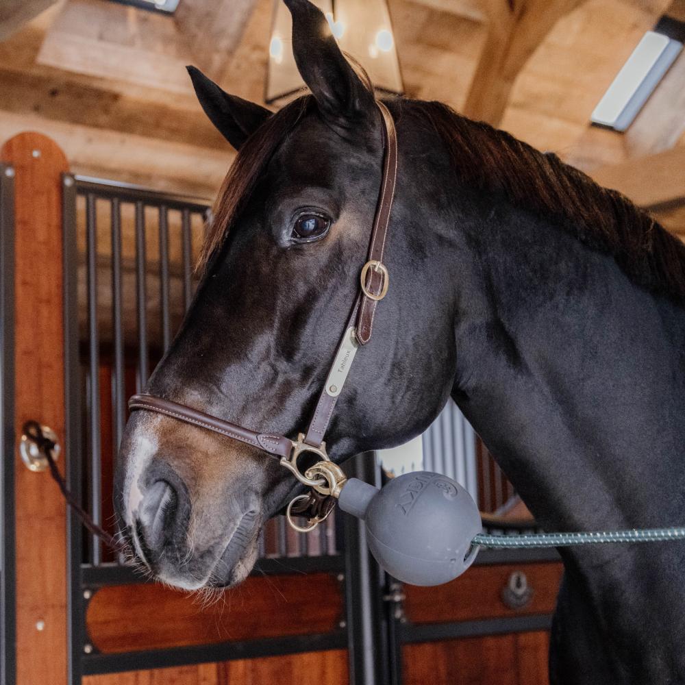 Rubber Ball Protection wall & lead | Kentucky Horsewear | Durable — Image 12