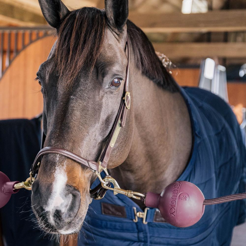 Rubber Ball Protection wall & lead | Kentucky Horsewear | Durable — Image 14