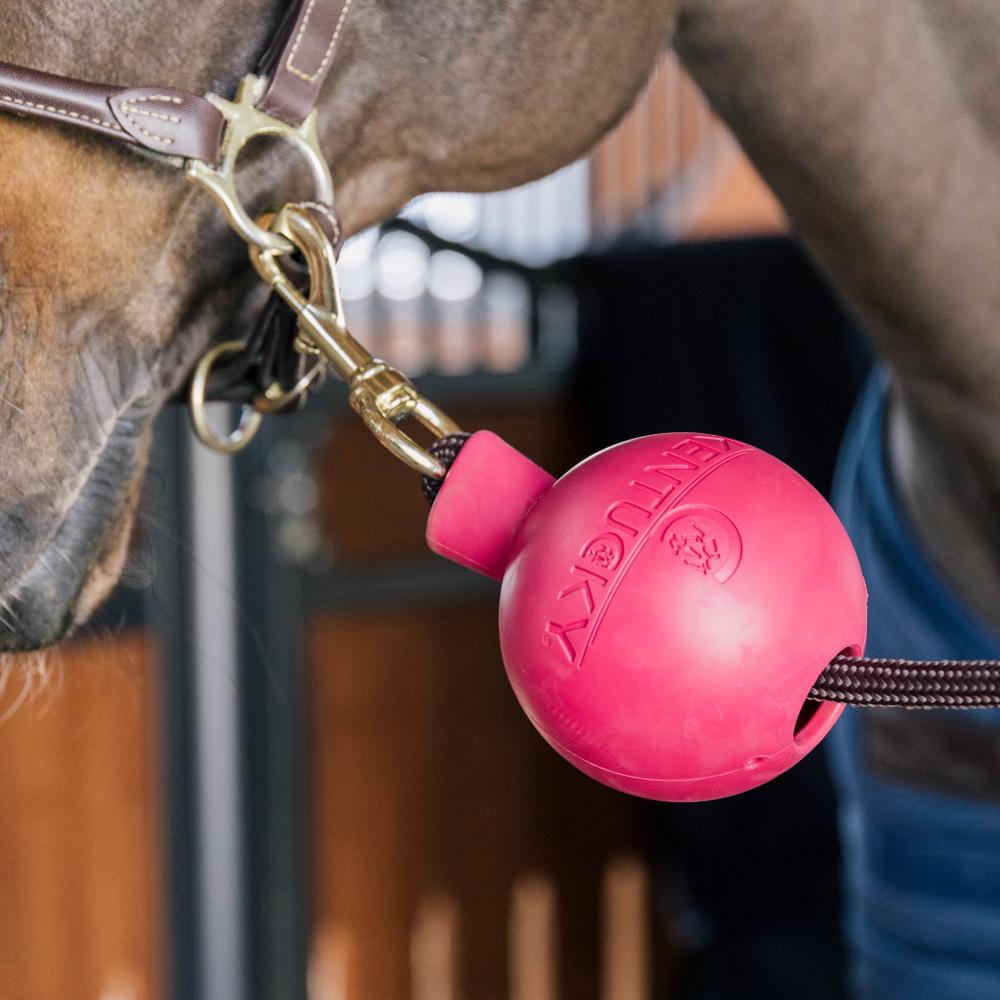 Rubber Ball Protection wall & lead | Kentucky Horsewear | Durable — Image 8