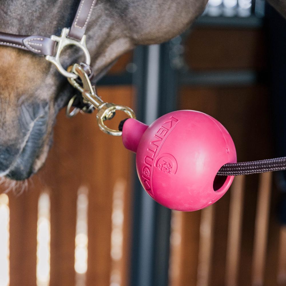 Rubber Ball Protection wall & lead | Kentucky Horsewear | Durable — Image 18