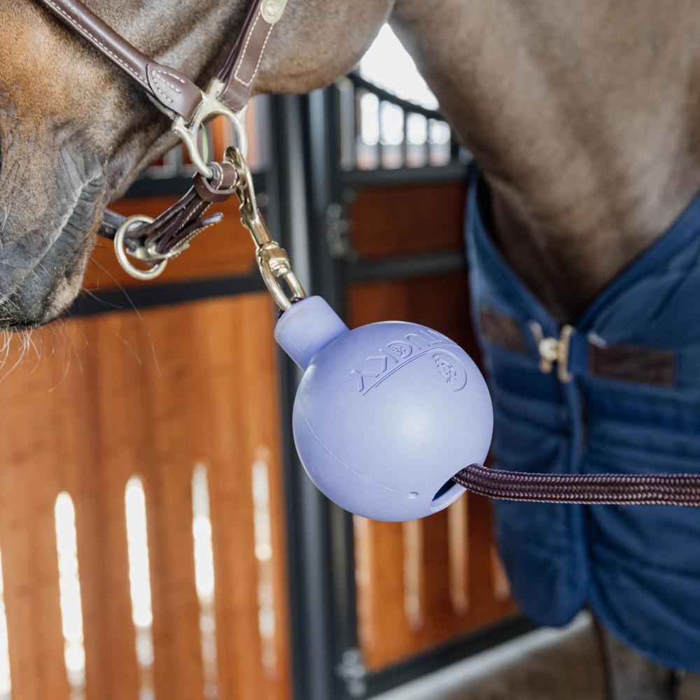 Rubber Ball Protection wall & lead | Kentucky Horsewear | Durable — Image 10