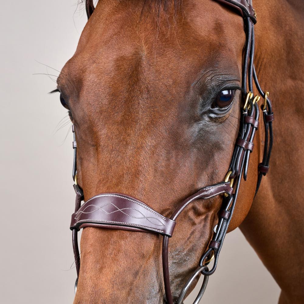 Hybrid Noseband Bridle DY |  | DurableLeather — Image 8