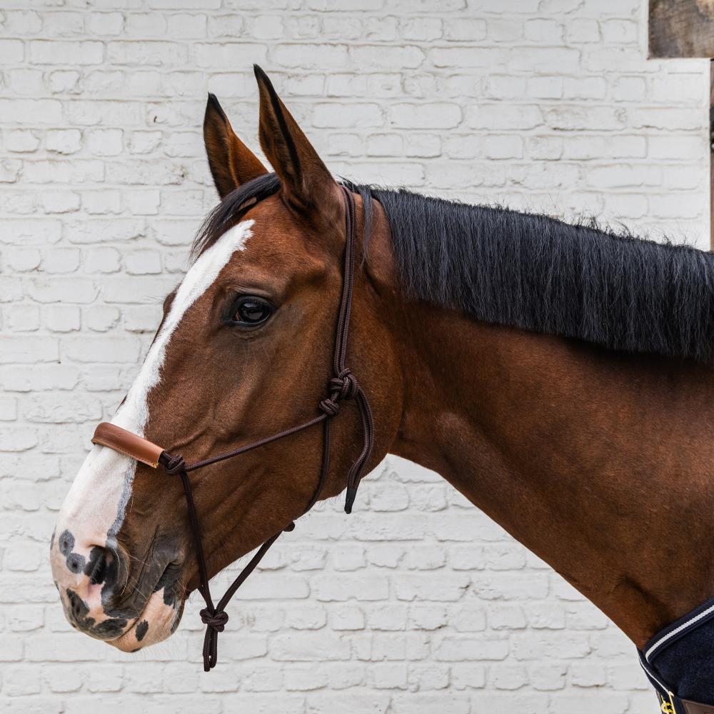 Rope Halter | Kentucky Horsewear | Durability — Image 9