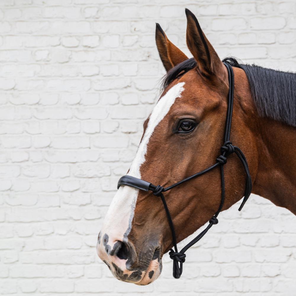 Rope Halter | Kentucky Horsewear | Durability — Image 4