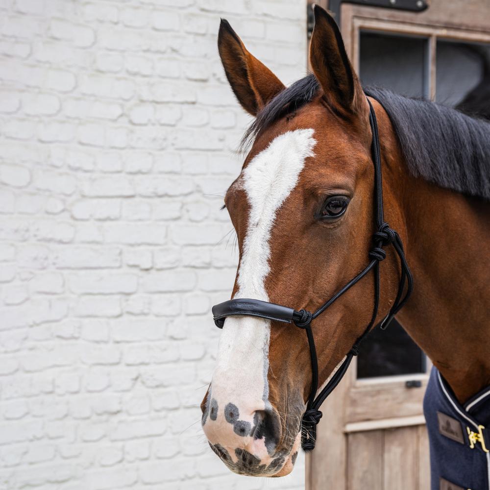 Rope Halter | Kentucky Horsewear | Durability — Image 5