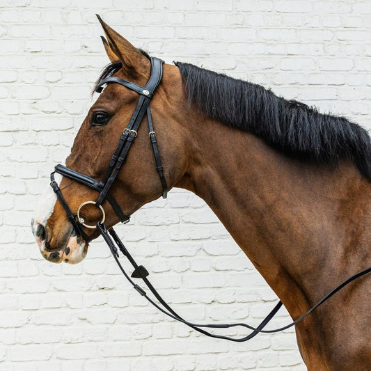 Flash Noseband Bridle Soft Leather SO |  | innovative — Image 2