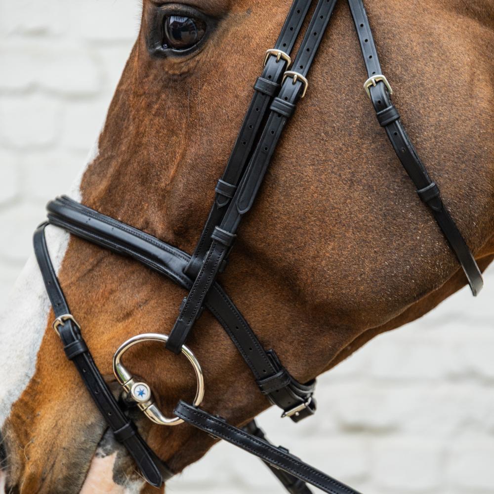 Medium Flash Noseband Bridle Soft Leather SO |  | Innovative — Image 2