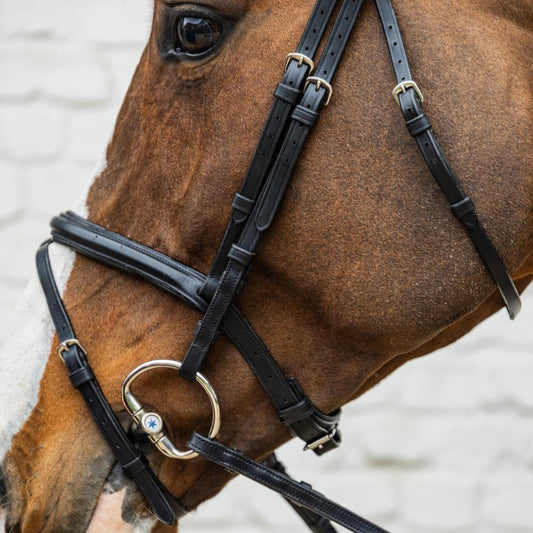 Medium Flash Noseband Bridle Soft Leather SO |  | Innovative — Image 2