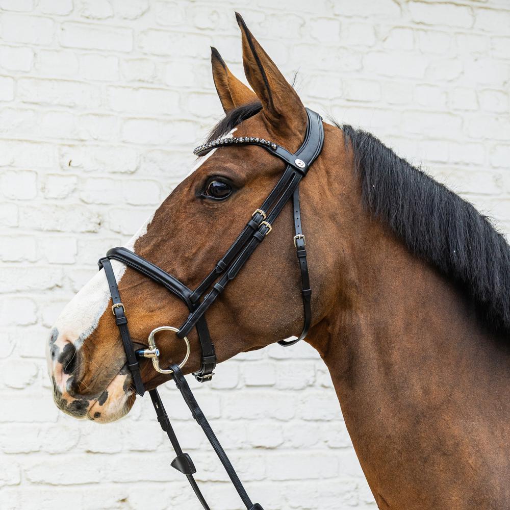 Medium Flash Noseband Bridle Soft Leather SO |  | Innovative — Image 3
