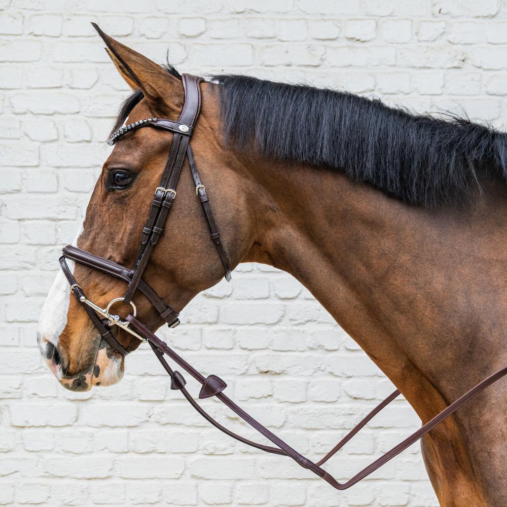 Medium Flash Noseband Bridle Soft Leather SO |  | Innovative — Image 7