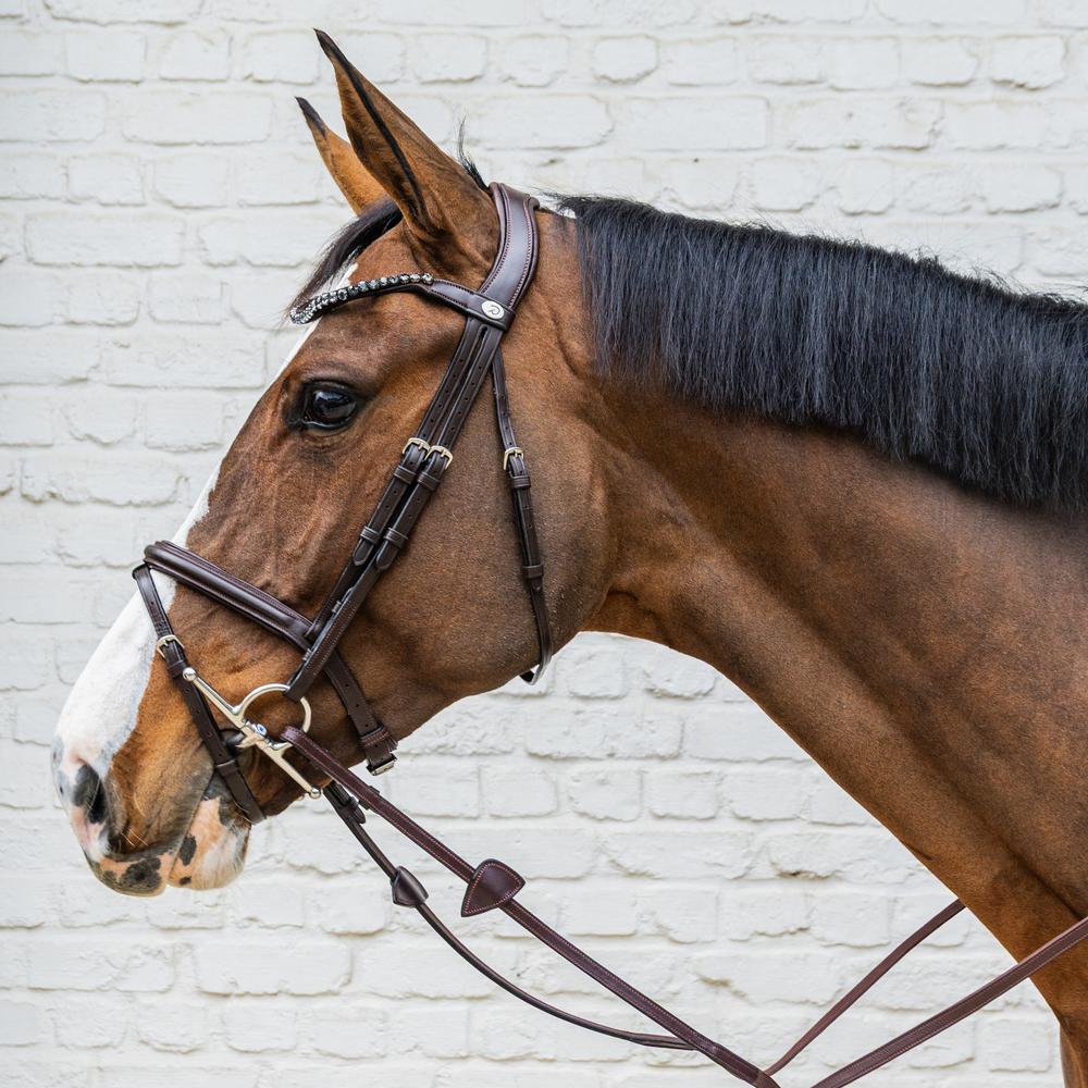 Medium Flash Noseband Bridle Soft Leather SO |  | Innovative — Image 8