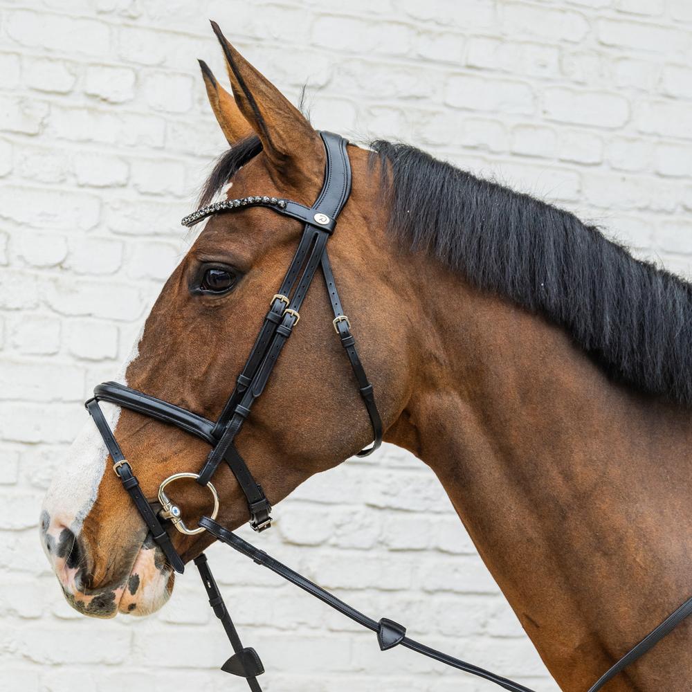 Medium Flash Noseband Bridle Soft Leather SO |  | Innovative — Image 4