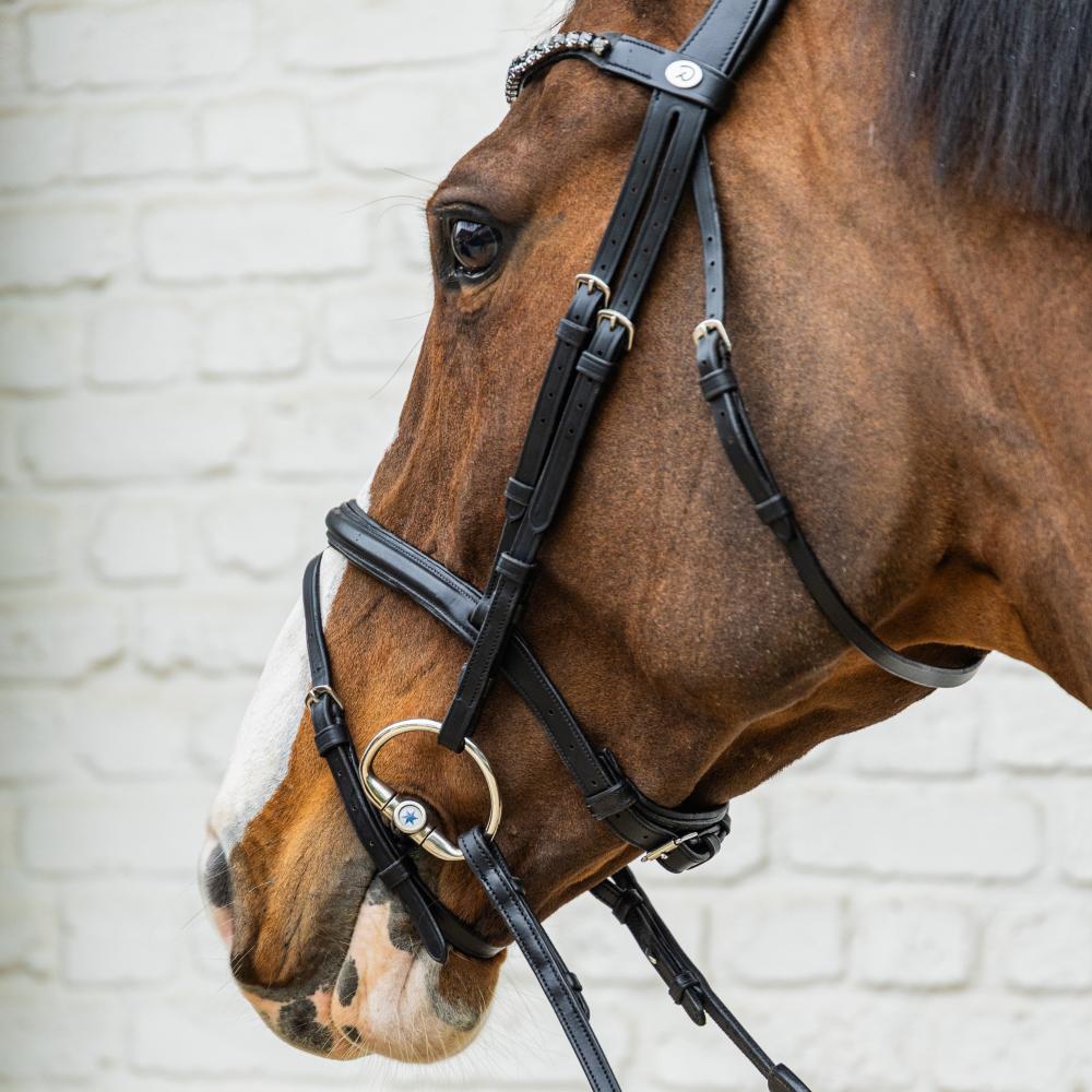 Medium Flash Noseband Bridle Soft Leather SO |  | Innovative — Image 5