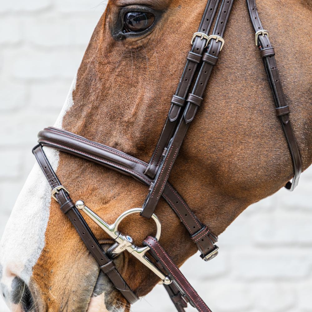 Medium Flash Noseband Bridle Soft Leather SO |  | Innovative — Image 9