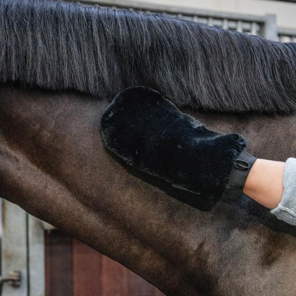 Sheepskin Grooming Glove | Grooming Deluxe | eco-friendly — Image 3