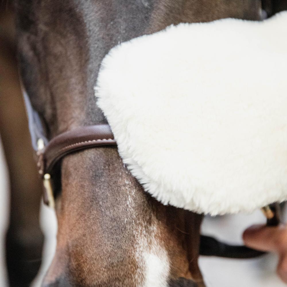 Sheepskin Grooming Glove | Grooming Deluxe | eco-friendly — Image 5