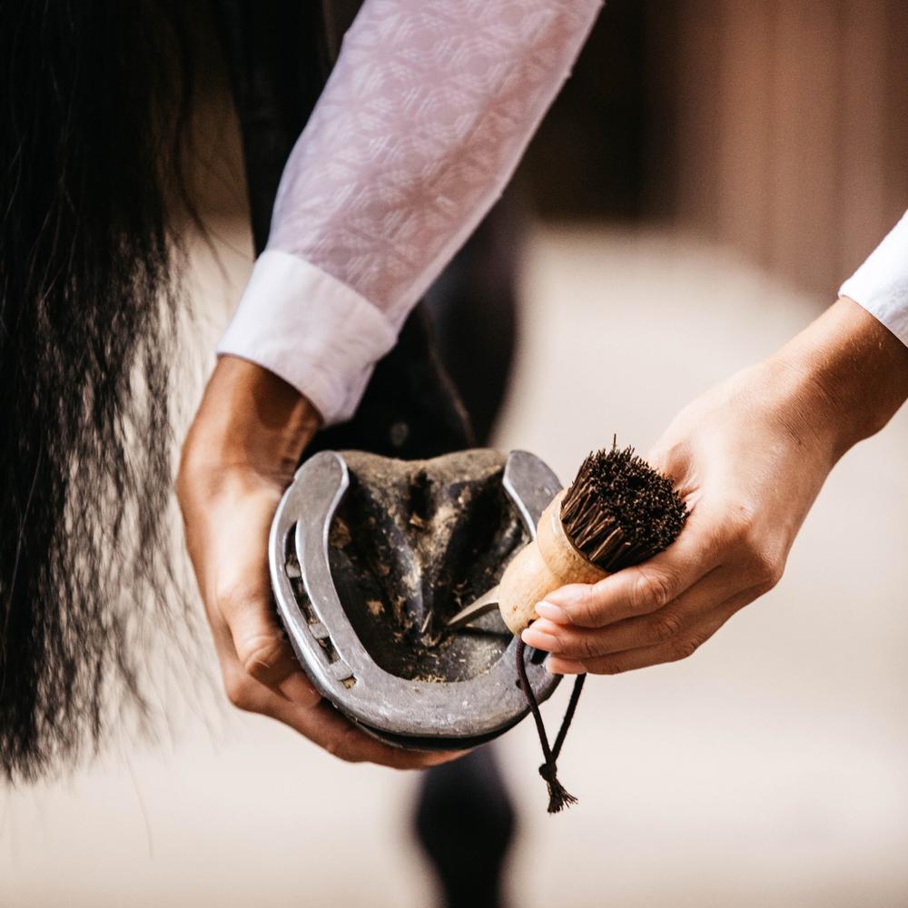 Hoof Pick Small | Grooming Deluxe | durable — Image 3