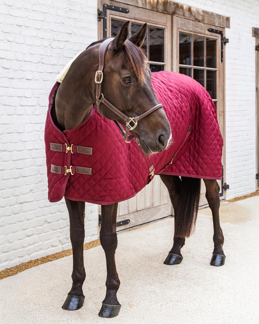 Stable Rug | Kentucky Horsewear | Comfort — Image 18