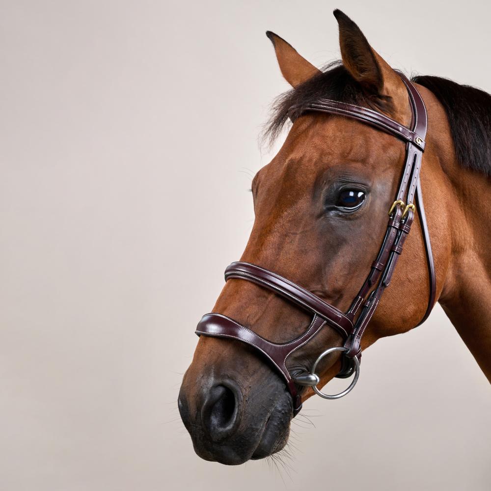 Double Noseband Bridle DY | Dy'on | control — Image 6