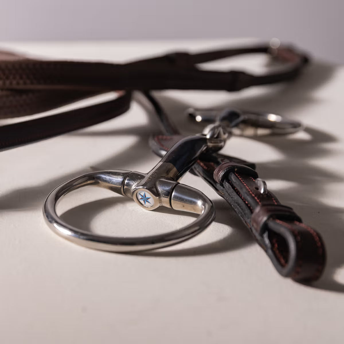 Horse bit lying on a bridle strap