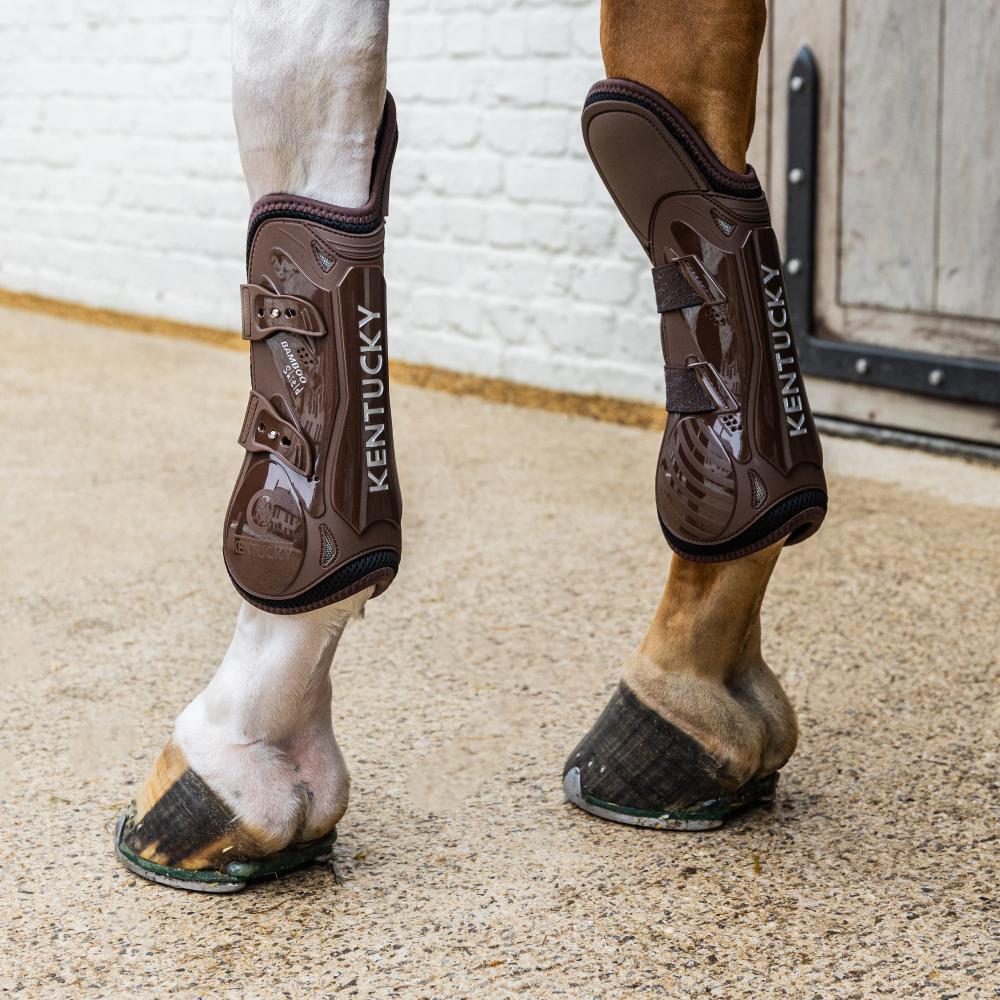 Tendon Boots Elastic Knee Protection | Kentucky Horsewear | kentucky_horsewear — Image 14
