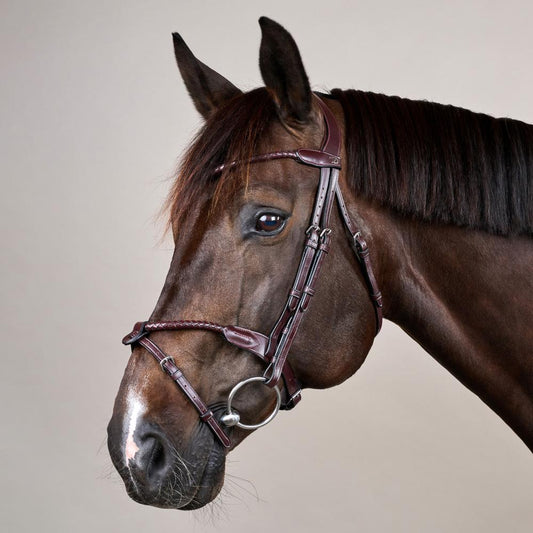 Braided Noseband Bridle with Removable Flash NE | Dy'on | Durability — Image 2