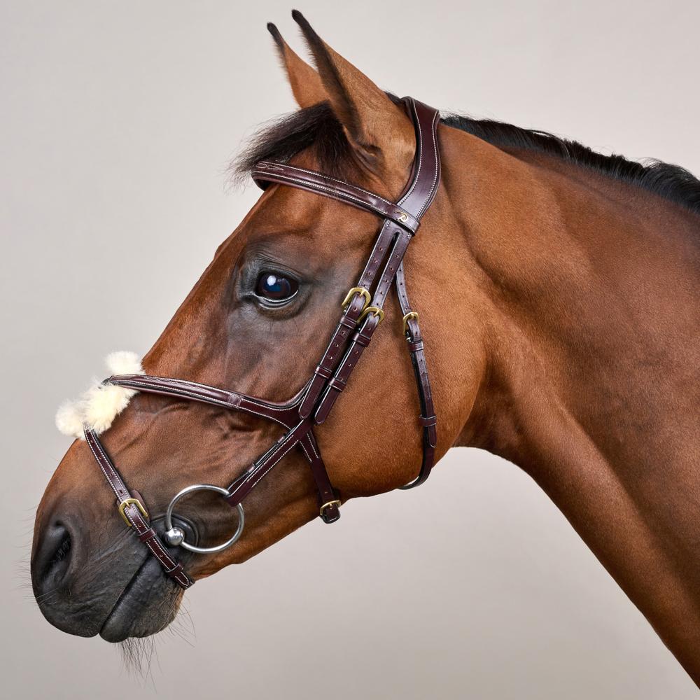 Figure 8 Noseband Bridle DY | Dy'on | Control — Image 3