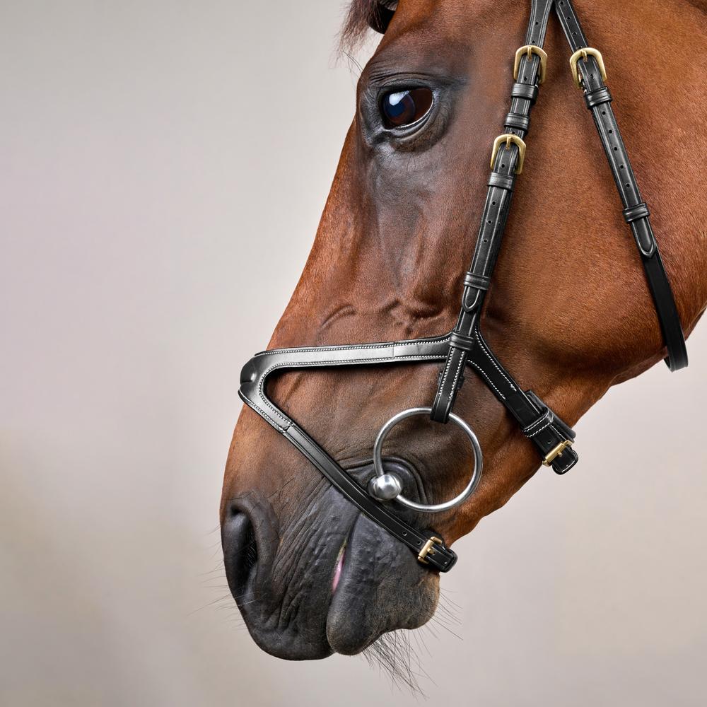 X-Fit Bridle DY | Dy'on | PremiumLeather — Image 6