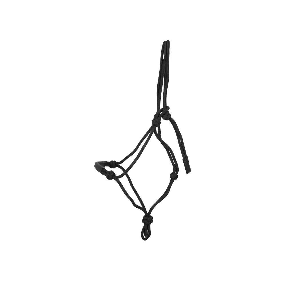 Training Halter | Dy'on | Durable — Image 4