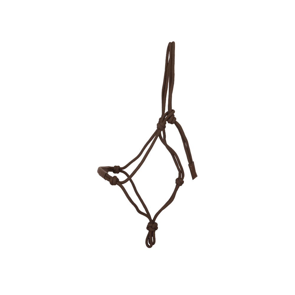 Training Halter | Dy'on | Durable