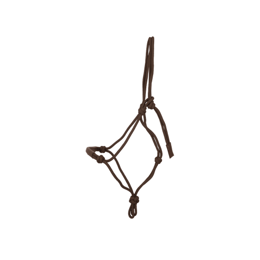 Training Halter | Dy'on | Durable