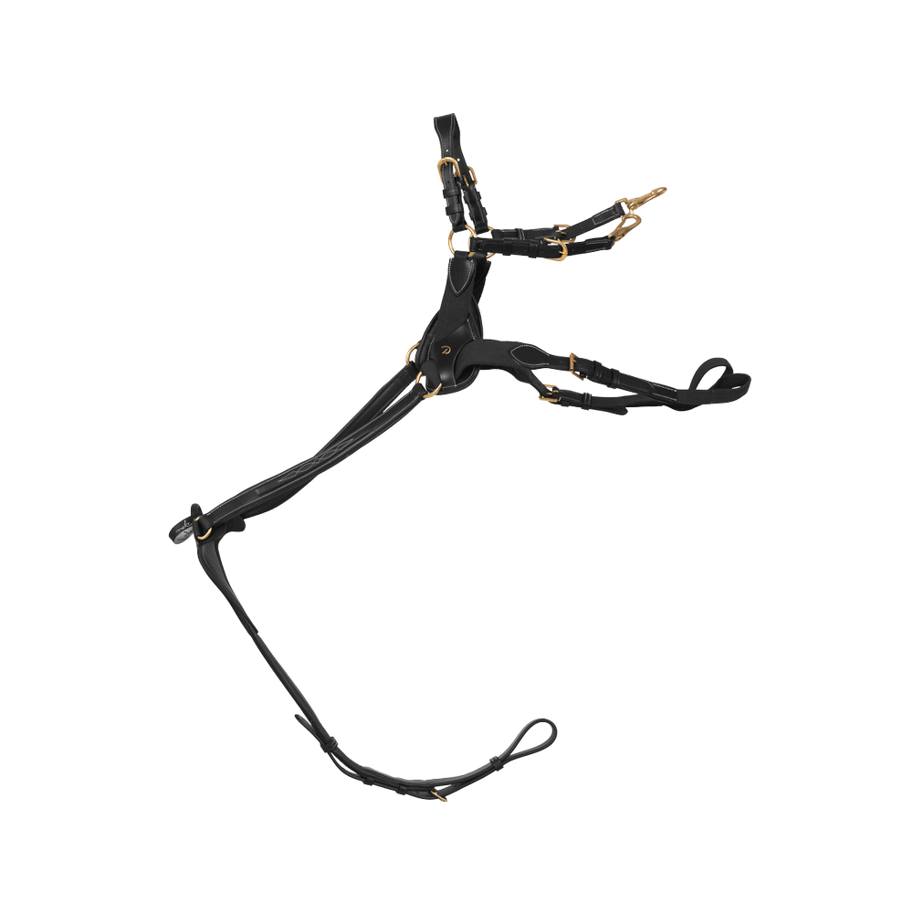 5 Points Breastplate with elastic | Dy'on | Comfort — Image 5
