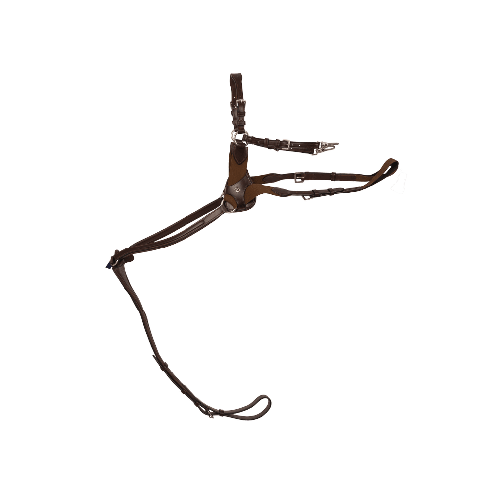 5 Points Breastplate with elastic | Dy'on | Comfort