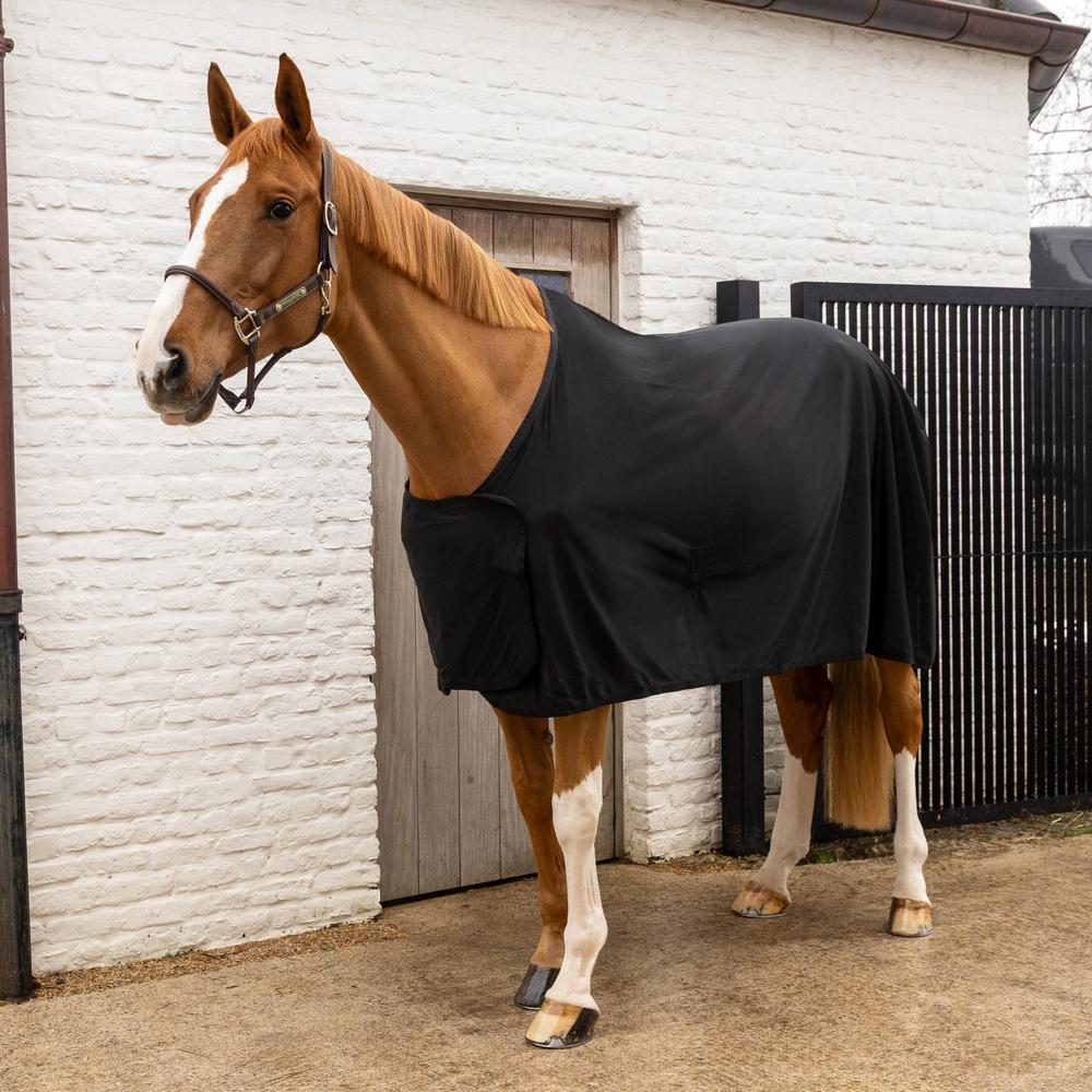 Summer Sheet Light | Kentucky Horsewear | Lightweight — Image 10
