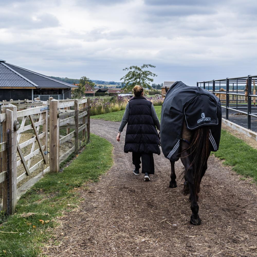 Turnout Rug All Weather Waterproof Comfort | Kentucky Horsewear | Waterproof — Image 5