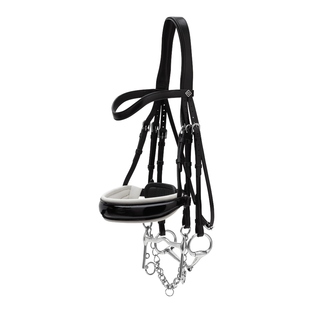 Patent Large Crank Noseband With White Padding Double Bridle | Dy'on | Comfort