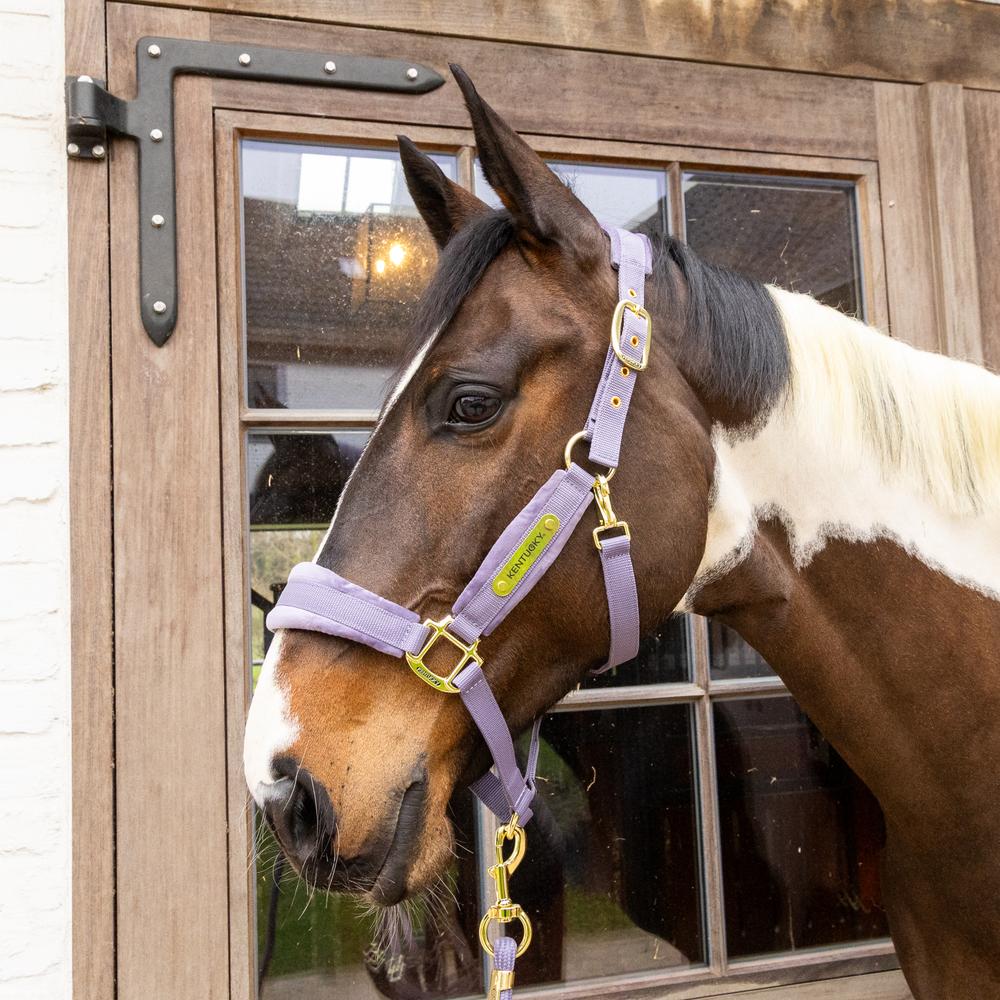 Velvet Halter | Kentucky Horsewear | VelvetDesign — Image 17