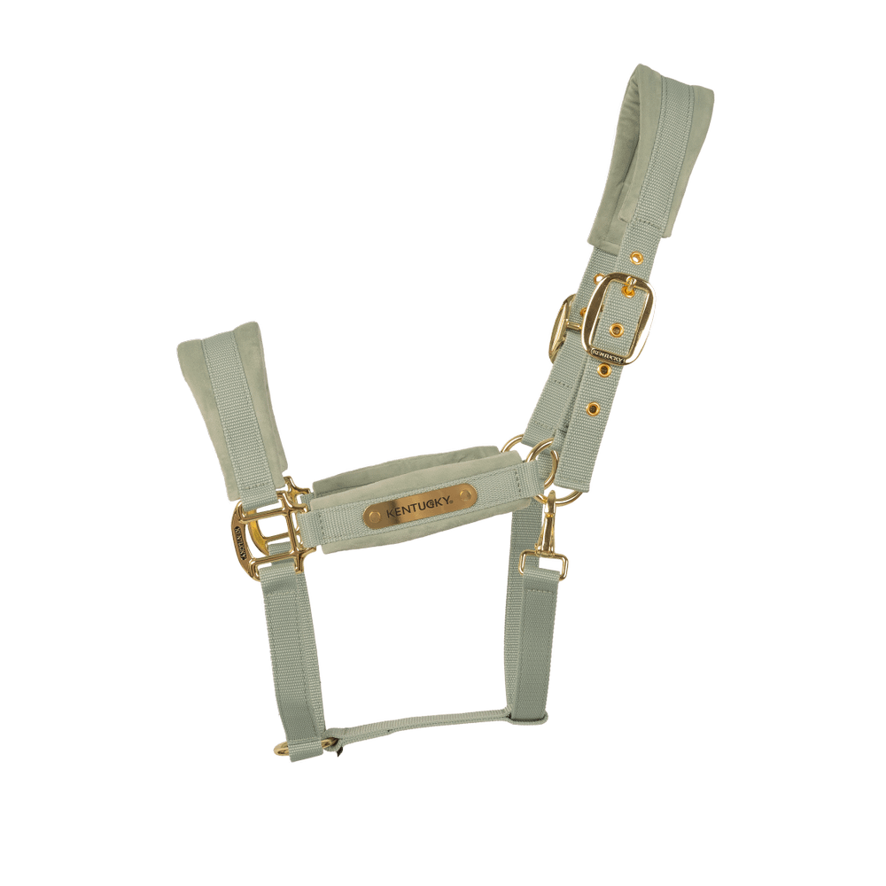 Velvet Halter | Kentucky Horsewear | VelvetDesign — Image 18